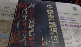 爆料大连探店视频大全集,美食地图揭秘